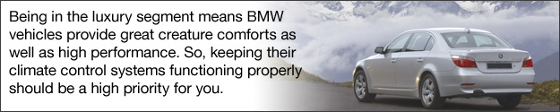 Environmental Impact – BMW Climate Control Systems