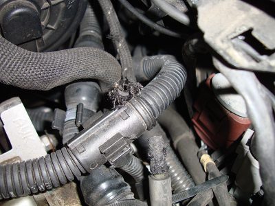 fuel-trims-visual-inspection