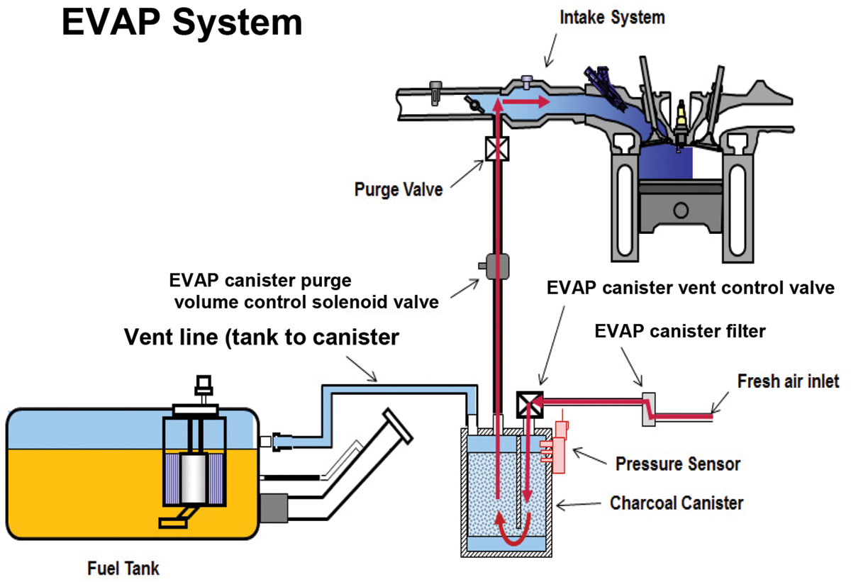 fuel evap system.