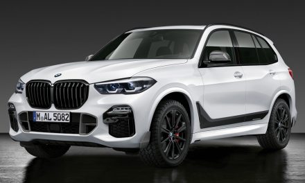 BMW X5 Electronic Throttle Drive Canâ€™t Thrive and Stay Alive â€” Because the DME Was Speaking Jive…